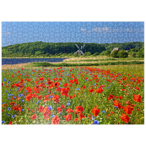 puzzleplate Poppy field with view to windmill Charlotte in Geltinger Birk, Geltinger Bay 500 Jigsaw Puzzle