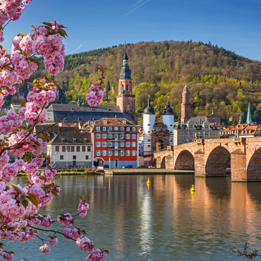 Japanese ornamental cherry on Neckar river bank with view to Heidelberg Old Town and Old Bridge 1000 Jigsaw Puzzle 3D Modell