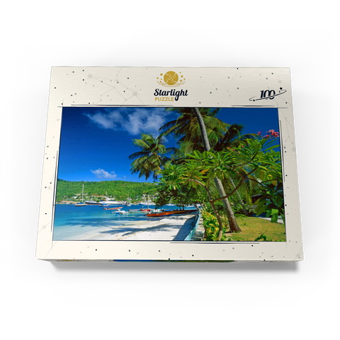 Beach walk in Port Elizabeth, Bequia Island, Grenadines, Leeward Islands, Caribbean Sea 100 Jigsaw Puzzle box view1