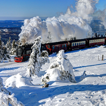 Brockenbahn on the way to the Brocken (1142m), Harz Mountains 1000 Jigsaw Puzzle 3D Modell