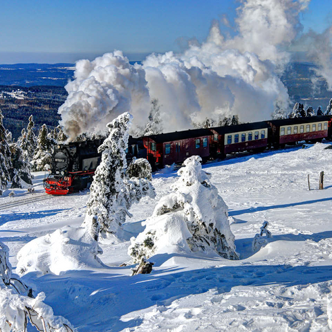 Brockenbahn on the way to the Brocken (1142m), Harz Mountains 100 Jigsaw Puzzle 3D Modell