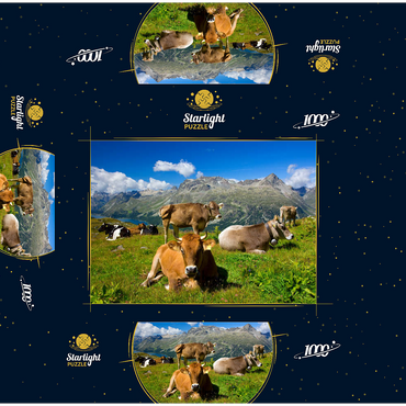 Cows on the way from Corvatsch-Murtel with Piz Polaschin (3013 m) and Upper Engadine lakes, St. Moritz 1000 Jigsaw Puzzle box 3D Modell