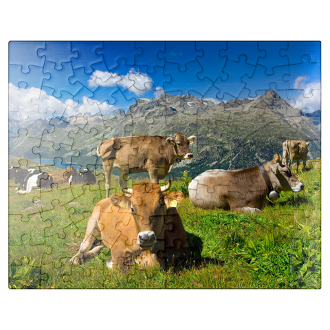 puzzleplate Cows on the way from Corvatsch-Murtel with Piz Polaschin (3013 m) and Upper Engadine lakes, St. Moritz 100 Jigsaw Puzzle
