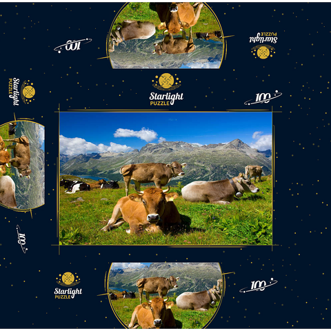Cows on the way from Corvatsch-Murtel with Piz Polaschin (3013 m) and Upper Engadine lakes, St. Moritz 100 Jigsaw Puzzle box 3D Modell