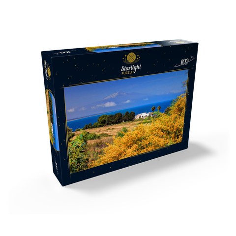 Flowering mimosa and cottage with view to Etna (3323m) 100 Jigsaw Puzzle box view1