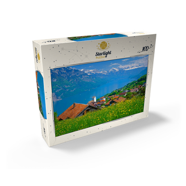 View over the Walensee to the Churfirsten (2306m) 100 Jigsaw Puzzle box view1