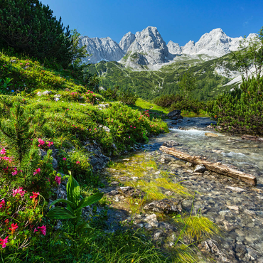 Gaisbach below Seebensee with the front Drachenkopf (2302m) 1000 Jigsaw Puzzle 3D Modell