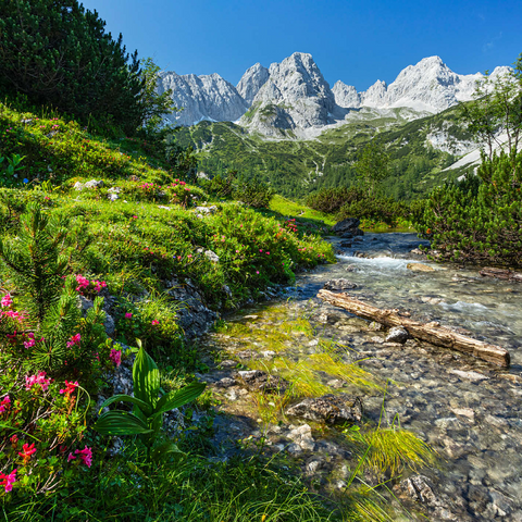 Gaisbach below Seebensee with the front Drachenkopf (2302m) 1000 Jigsaw Puzzle 3D Modell