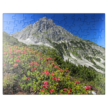 puzzleplate Blooming alpine roses at Coburger Hütte, Tyrol, Austria 100 Jigsaw Puzzle