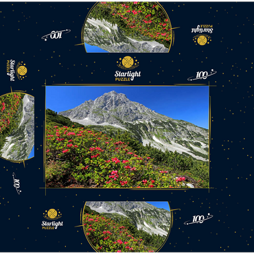 Blooming alpine roses at Coburger Hütte, Tyrol, Austria 100 Jigsaw Puzzle box 3D Modell