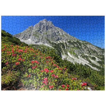 puzzleplate Blooming alpine roses at Coburger Hütte, Tyrol, Austria 500 Jigsaw Puzzle