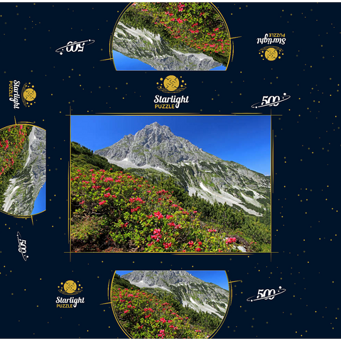 Blooming alpine roses at Coburger Hütte, Tyrol, Austria 500 Jigsaw Puzzle box 3D Modell