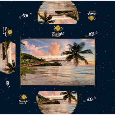 Palm tree on Baie Lazare beach, west coast, Mahe Island, Seychelles 100 Jigsaw Puzzle box 3D Modell