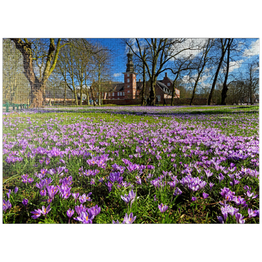 puzzleplate Crocus blossom in the castle park with the castle outside Husum 1000 Jigsaw Puzzle