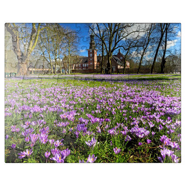 puzzleplate Crocus blossom in the castle park with the castle outside Husum 100 Jigsaw Puzzle
