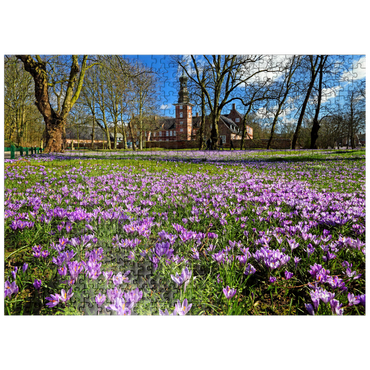puzzleplate Crocus blossom in the castle park with the castle outside Husum 500 Jigsaw Puzzle