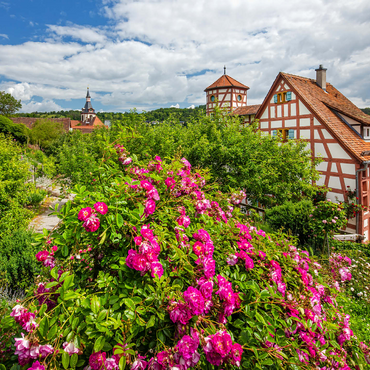 Rose garden at Romschlössle in Creglingen, Tauber valley 1000 Jigsaw Puzzle 3D Modell