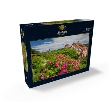 Rose garden at Romschlössle in Creglingen, Tauber valley 100 Jigsaw Puzzle box view1