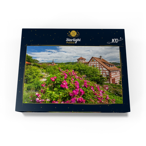 Rose garden at Romschlössle in Creglingen, Tauber valley 100 Jigsaw Puzzle box view1