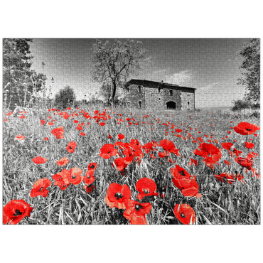 puzzleplate Poppy field in front of a country house on the slopes above Orvieto, Umbria 1000 Jigsaw Puzzle