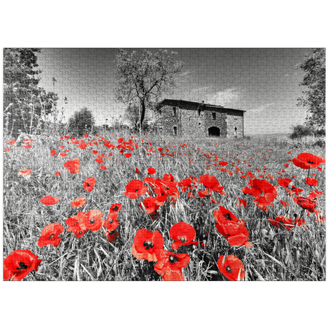 puzzleplate Poppy field in front of a country house on the slopes above Orvieto, Umbria 1000 Jigsaw Puzzle