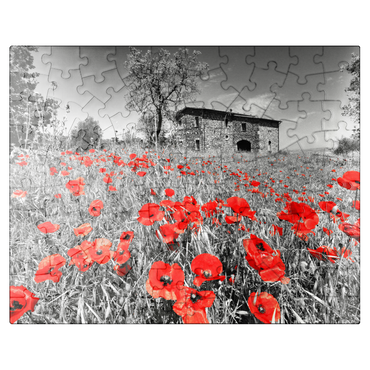 puzzleplate Poppy field in front of a country house on the slopes above Orvieto, Umbria 100 Jigsaw Puzzle