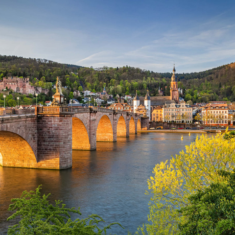 Heidelberg Castle and Old Bridge over the Neckar River in the early morning 500 Jigsaw Puzzle 3D Modell