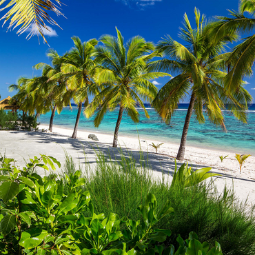 Palm Beach at Crown Beach Resort near Arorangi, Rarotonga Island, Cook Islands, South Seas 1000 Jigsaw Puzzle 3D Modell