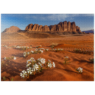 puzzleplate The desert blooms, flowers in the sand, Wadi Rum, Jordan 1000 Jigsaw Puzzle
