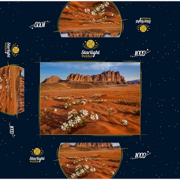 The desert blooms, flowers in the sand, Wadi Rum, Jordan 1000 Jigsaw Puzzle box 3D Modell