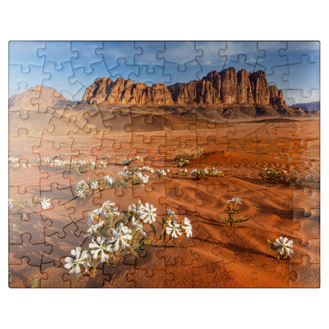 puzzleplate The desert blooms, flowers in the sand, Wadi Rum, Jordan 100 Jigsaw Puzzle