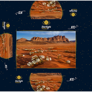 The desert blooms, flowers in the sand, Wadi Rum, Jordan 100 Jigsaw Puzzle box 3D Modell