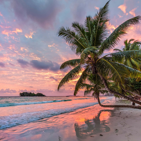 Palm beach of Anse Volbert in morning light, Praslin Island, Seychelles 1000 Jigsaw Puzzle 3D Modell