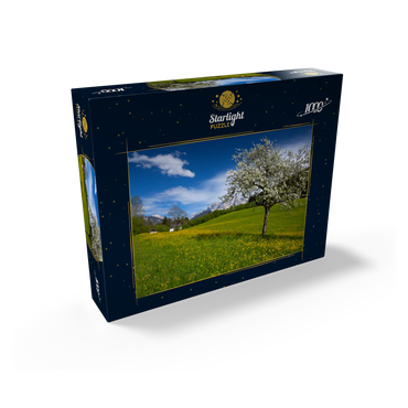 Spring meadow in Gerold against Wörner (2476m) and Tiefkarspitze (2430m) near Mittenwald, Upper Bavaria 1000 Jigsaw Puzzle box view1