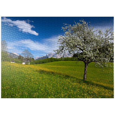 puzzleplate Spring meadow in Gerold against Wörner (2476m) and Tiefkarspitze (2430m) near Mittenwald, Upper Bavaria 1000 Jigsaw Puzzle