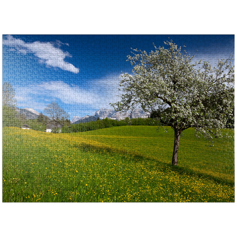 puzzleplate Spring meadow in Gerold against Wörner (2476m) and Tiefkarspitze (2430m) near Mittenwald, Upper Bavaria 1000 Jigsaw Puzzle