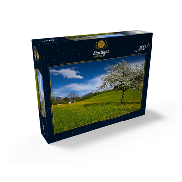 Spring meadow in Gerold against Wörner (2476m) and Tiefkarspitze (2430m) near Mittenwald, Upper Bavaria 100 Jigsaw Puzzle box view1