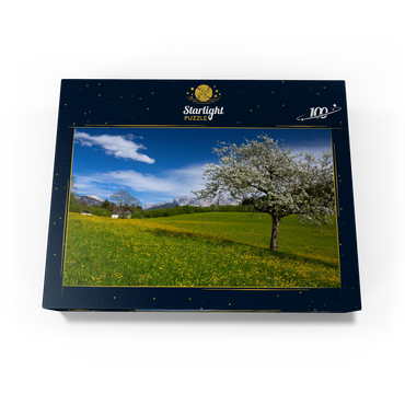 Spring meadow in Gerold against Wörner (2476m) and Tiefkarspitze (2430m) near Mittenwald, Upper Bavaria 100 Jigsaw Puzzle box view1