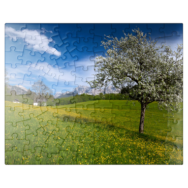 puzzleplate Spring meadow in Gerold against Wörner (2476m) and Tiefkarspitze (2430m) near Mittenwald, Upper Bavaria 100 Jigsaw Puzzle