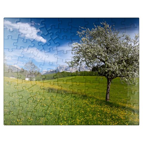 puzzleplate Spring meadow in Gerold against Wörner (2476m) and Tiefkarspitze (2430m) near Mittenwald, Upper Bavaria 100 Jigsaw Puzzle