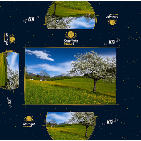 Spring meadow in Gerold against Wörner (2476m) and Tiefkarspitze (2430m) near Mittenwald, Upper Bavaria 100 Jigsaw Puzzle box 3D Modell