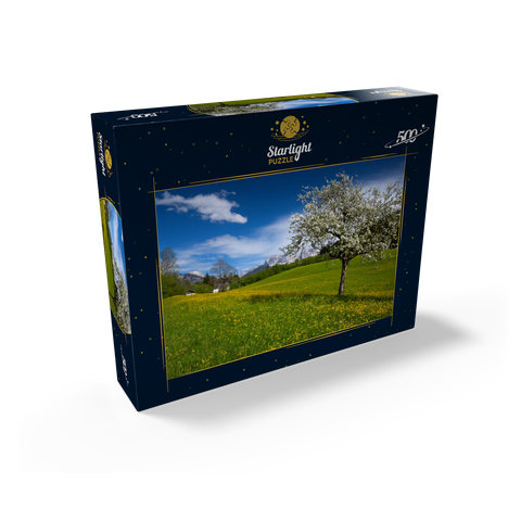 Spring meadow in Gerold against Wörner (2476m) and Tiefkarspitze (2430m) near Mittenwald, Upper Bavaria 500 Jigsaw Puzzle box view1