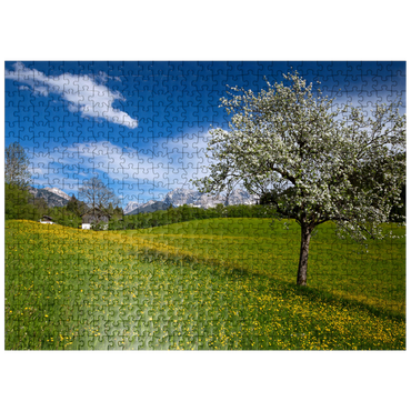 puzzleplate Spring meadow in Gerold against Wörner (2476m) and Tiefkarspitze (2430m) near Mittenwald, Upper Bavaria 500 Jigsaw Puzzle