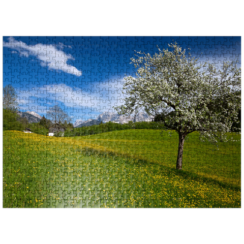 puzzleplate Spring meadow in Gerold against Wörner (2476m) and Tiefkarspitze (2430m) near Mittenwald, Upper Bavaria 500 Jigsaw Puzzle