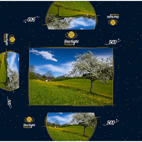 Spring meadow in Gerold against Wörner (2476m) and Tiefkarspitze (2430m) near Mittenwald, Upper Bavaria 500 Jigsaw Puzzle box 3D Modell