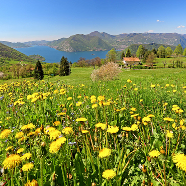 Spring landscape near Sulzano overlooking Lake Iseo, Lombardy, Italy 1000 Jigsaw Puzzle 3D Modell