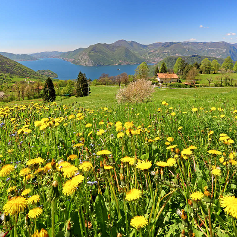 Spring landscape near Sulzano overlooking Lake Iseo, Lombardy, Italy 100 Jigsaw Puzzle 3D Modell