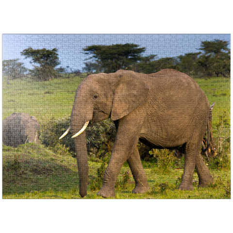 puzzleplate Masai Mara, Kenya, elephants 1000 Jigsaw Puzzle