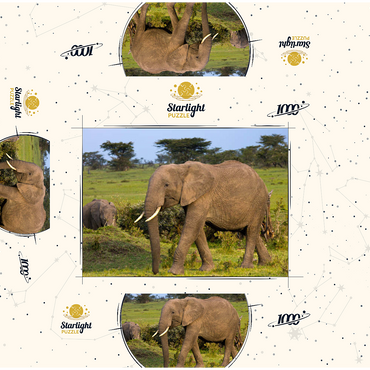 Masai Mara, Kenya, elephants 1000 Jigsaw Puzzle box 3D Modell