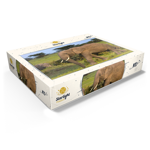 Masai Mara, Kenya, elephants 100 Jigsaw Puzzle box view1